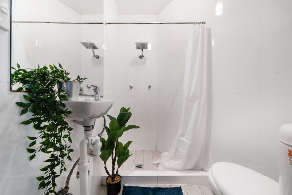 Furnished Private Room in Chippendale 2008 NSW (Room 3 Standard) - Image 3